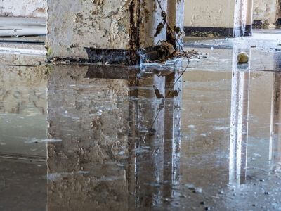 About Skydorix Helm - water damage restoration experts in Burbank