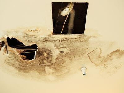 Professional water damage restoration services in Burbank - Skydorix Helm